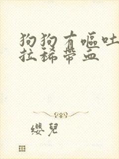 狗狗有呕吐物和拉稀带血