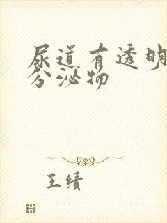 尿道有透明液体分泌物