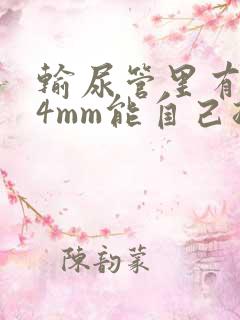 输尿管里有结石4mm能自己排出来吗