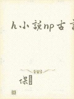 h小说np古言