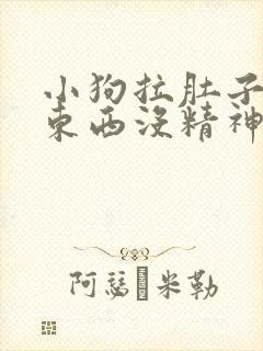 小狗拉肚子不吃东西没精神怎么办