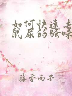 如何快速去除老鼠尿的骚味