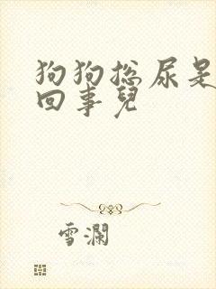 狗狗总尿是怎么回事儿