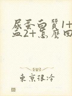 尿蛋白质1+隐血2+怎么回事