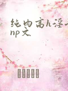 纯肉高h淫受文np文