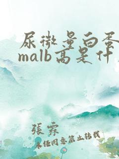 尿微量白蛋白umalb高是什么情况