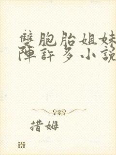 双胞胎姐妹齐上阵许多小说说免费