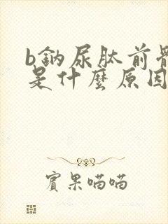 b钠尿肽前体高是什么原因