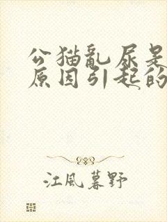 公猫乱尿是什么原因引起的