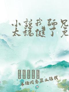 小说我师兄实在太稳健了免费完本