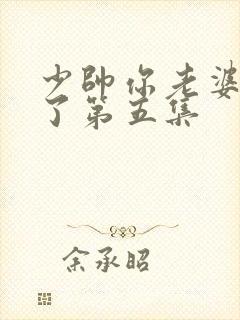 少帅你老婆又跑了第五集