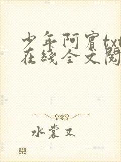 少年阿宾txt在线全文阅读