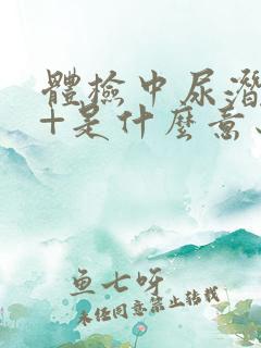 体检中尿潜血1+是什么意思?