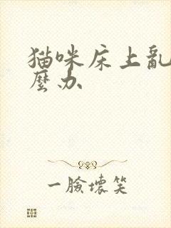 猫咪床上乱尿怎么办