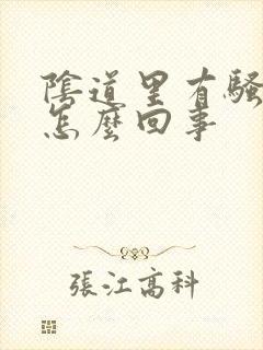 阴道里有骚味是怎么回事