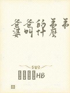 爸爸的弟弟的老婆叫什么