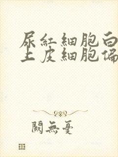 尿红细胞白细胞上皮细胞偏高