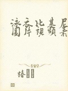 泳衣比基尼美女图片视频素材大全