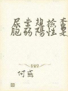 尿常规检查白细胞弱阳性是什么意思