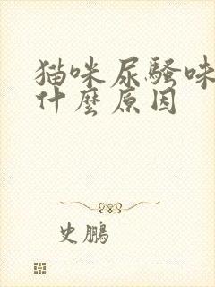 猫咪尿骚味重是什么原因