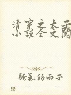 清穿之太子娇妃小说全文阅读