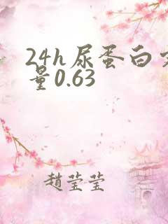 24h尿蛋白定量0.63