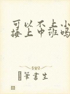 可以不上小班直接上中班吗