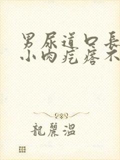 男尿道口长了个小肉疙瘩不痛不痒