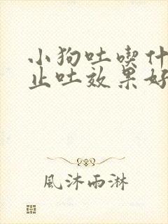 小狗吐吃什么药止吐效果好