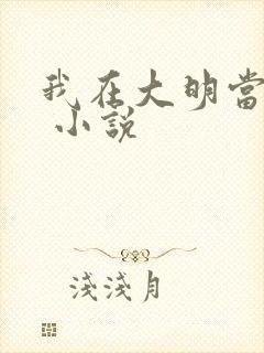 我在大明当暴君 小说