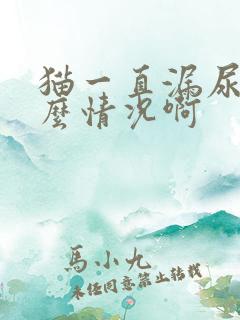 猫一直漏尿是什么情况啊