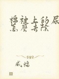 棉被上的尿骚味怎么去除