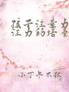 孩子注意力和专注力的培养