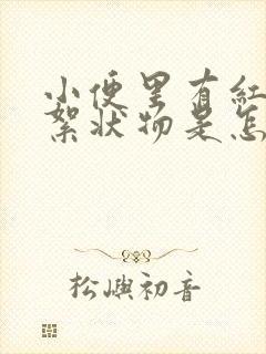 小便里有红色的絮状物是怎么回事