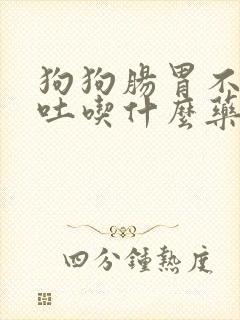 狗狗肠胃不好呕吐吃什么药