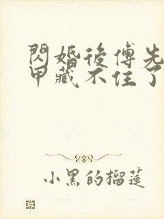 闪婚后傅先生马甲藏不住了