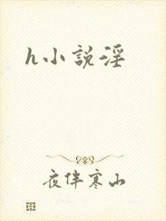 h小说淫