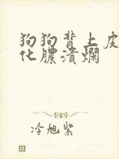 狗狗背上皮肤病化脓溃烂