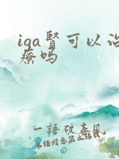 iga肾可以治疗吗