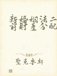 新婚姻法二婚婚前财产分配