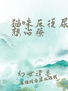 猫咪反复尿闭不想治疗