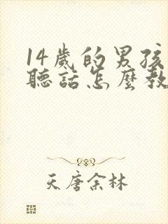 14岁的男孩不听话怎么教