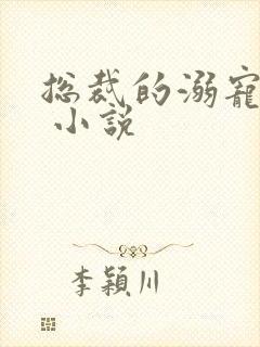 总裁的溺宠甜妻 小说