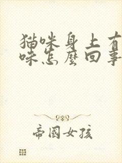 猫咪身上有尿骚味怎么回事