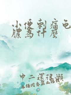 小便刺痛龟头流脓为什么