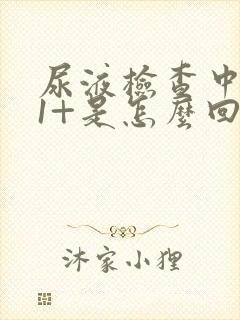 尿液检查中隐血1+是怎么回事