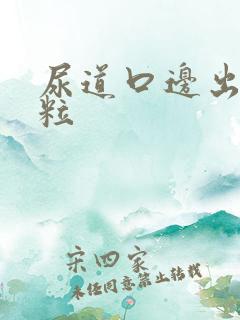 尿道口边出小肉粒