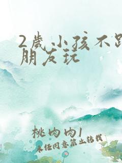 2岁小孩不跟小朋友玩