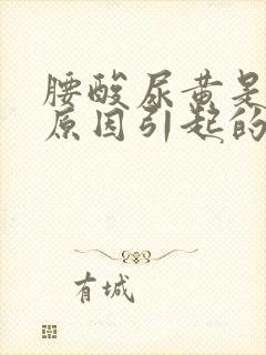 腰酸尿黄是什么原因引起的女性