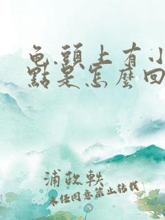 龟.头上有小红点是怎么回事还痒